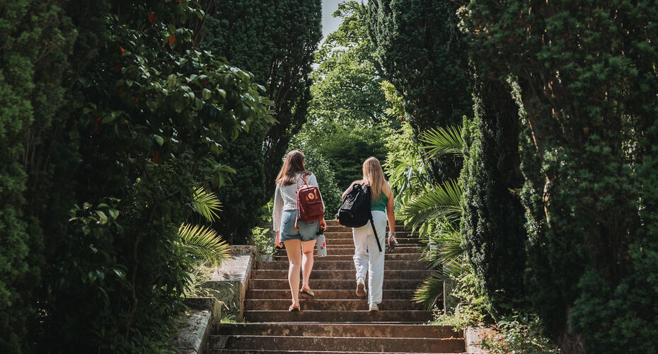 Two students walking up steps in Penryn Campus grounds