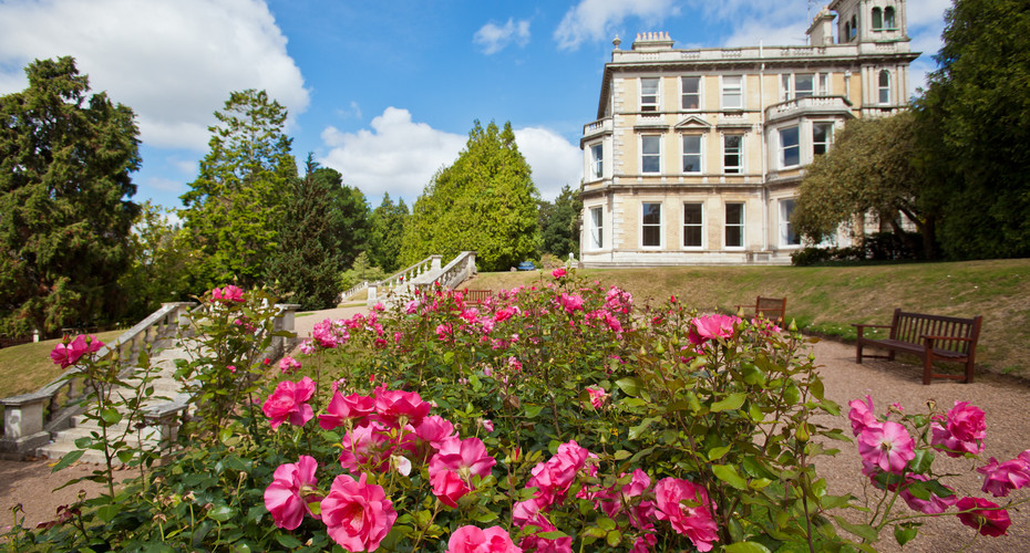 Pink dog roses in the foreground, with a white staircase rising towards a grand three story light coloured building