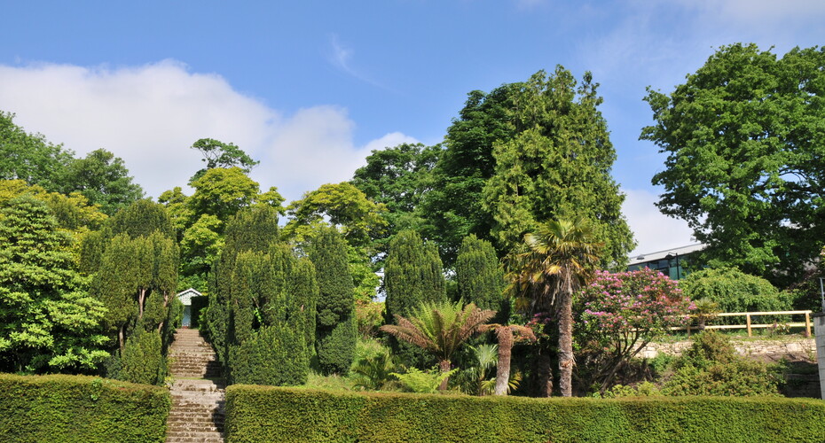 Steps in the grounds of Penryn campus