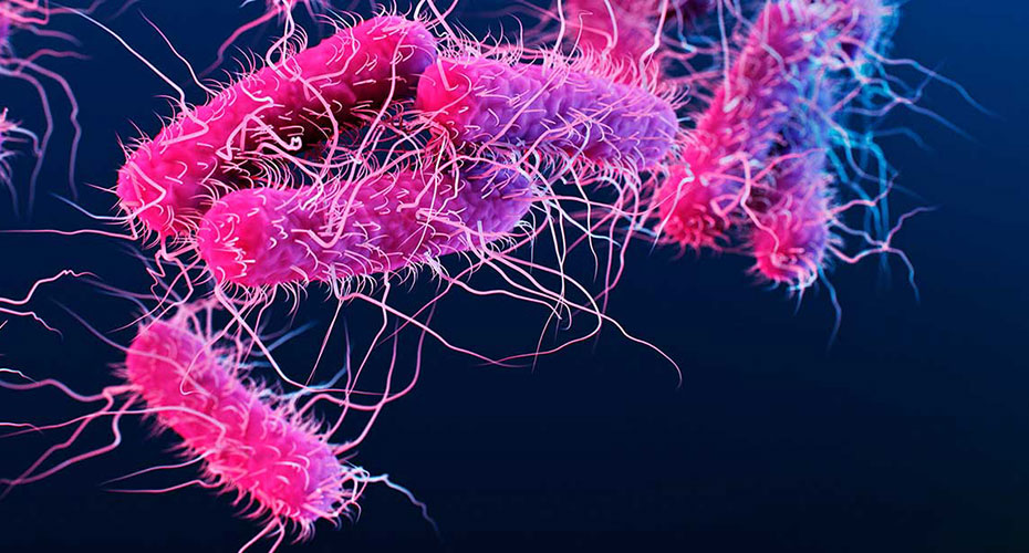 Graphic of pink microbes