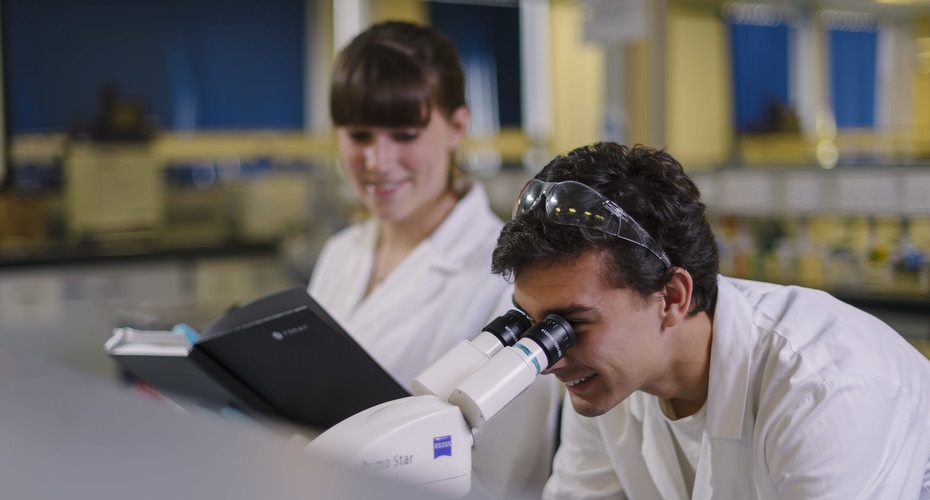 Biochemistry students using a microscope and recording data