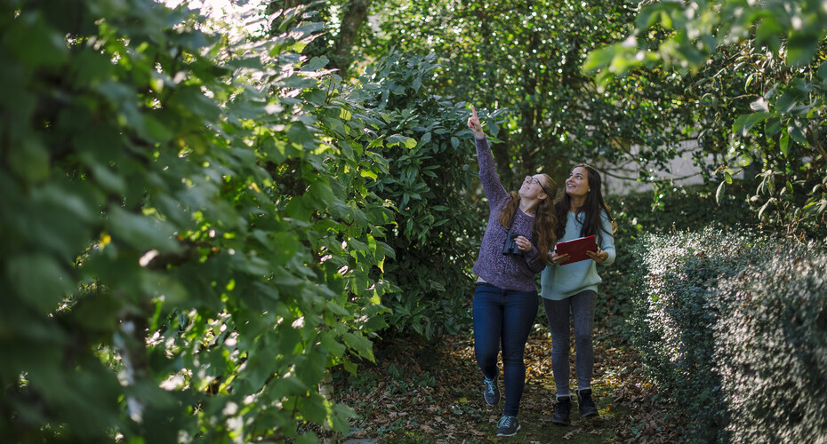 Two students walking in woodland, pointing out wildlife