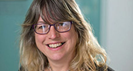 Marion Gibson, Director of the FCH programme