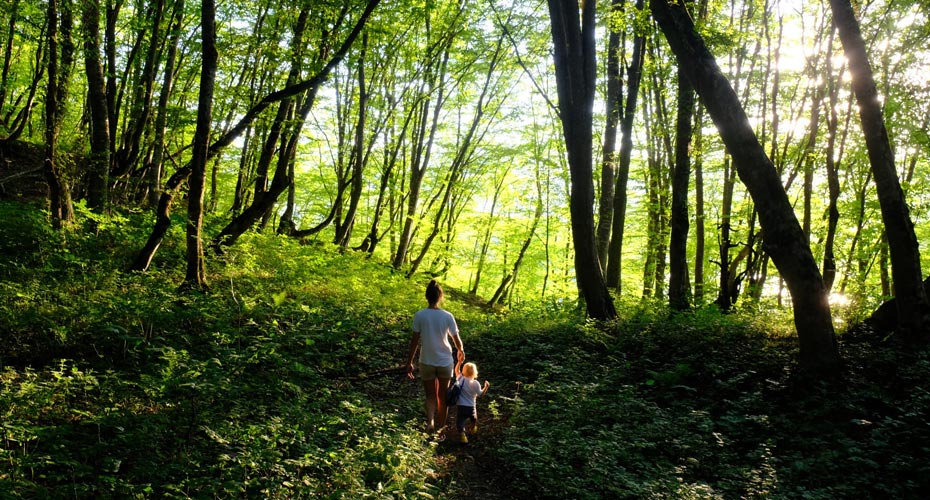 woman walking down woodland path holding hands with small infant.