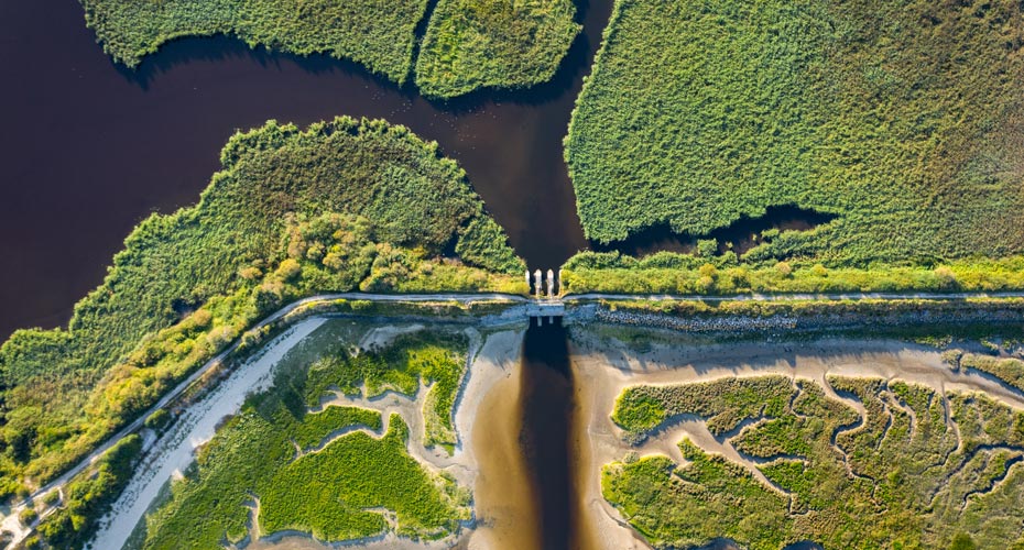 aerial viewpoint of dam in river, surrounded by jungle.