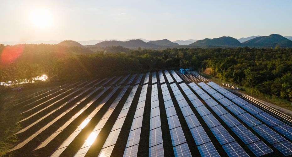 A field of solar panels with the sun shining on them
