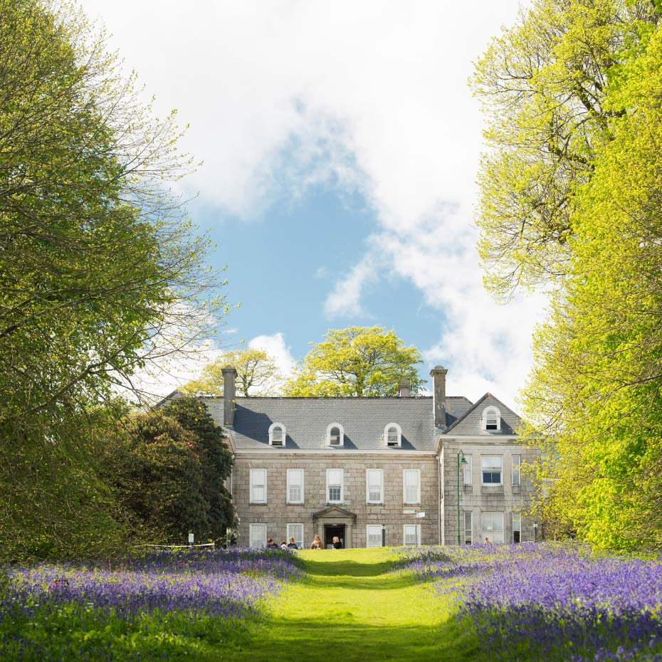 Stately house in green park with trees