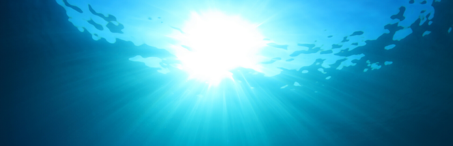 Banner Disability Network