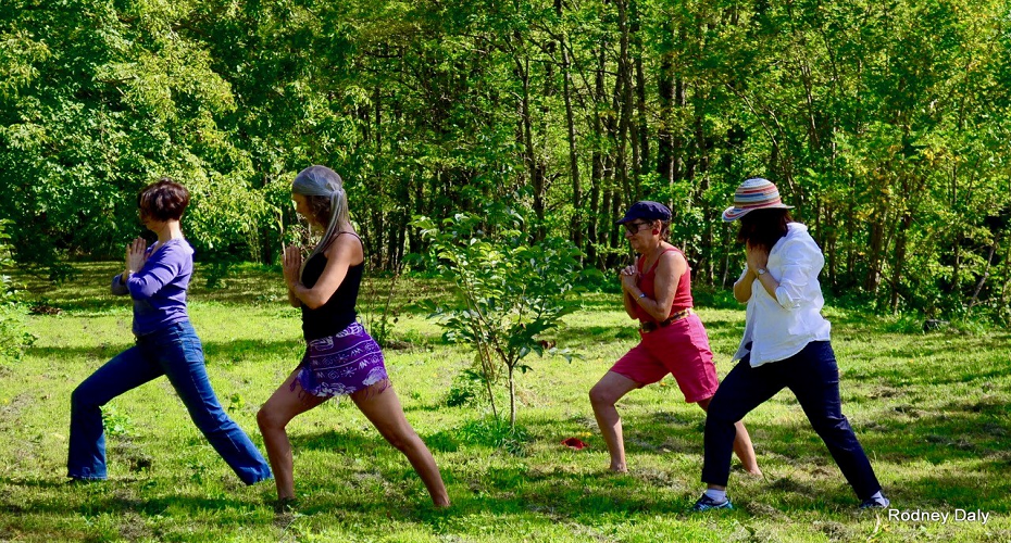 Cass Collins hatha yoga - 930x500