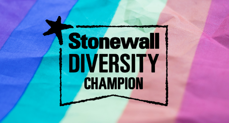FB Stonewall Diversity Champion