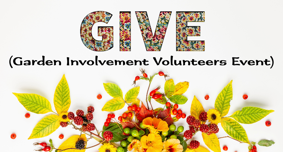 GIVE_WEBSITE_BANNER 930x500