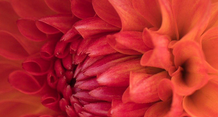 Menopause cafe cornwall-930x500