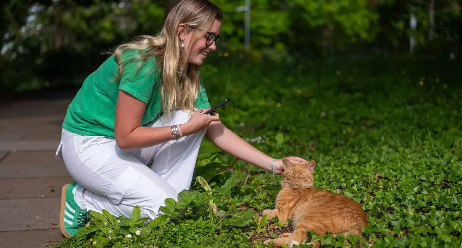 Napoleon the campus cat