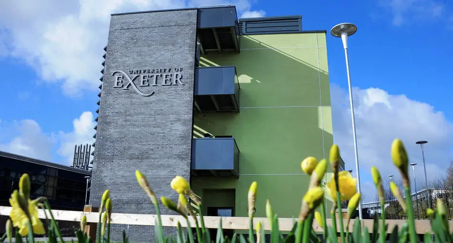 Stella Turk Building