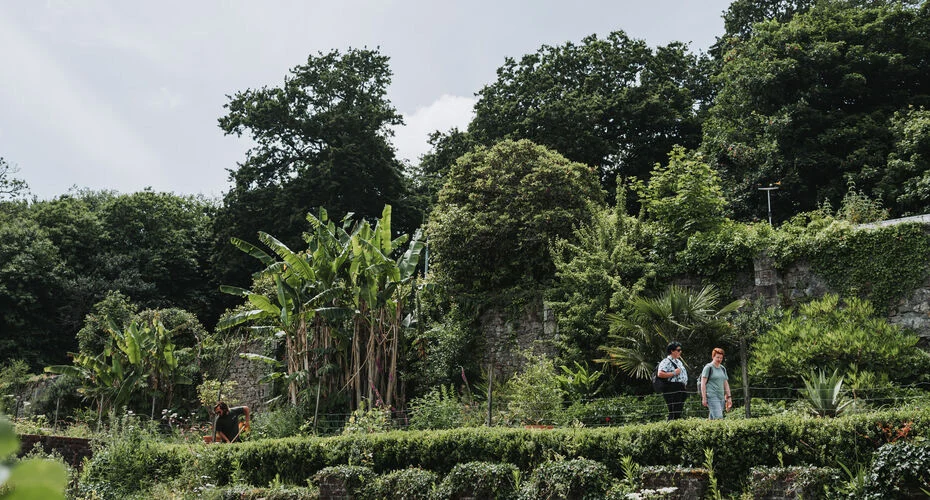 Gardens at Penryn Campus