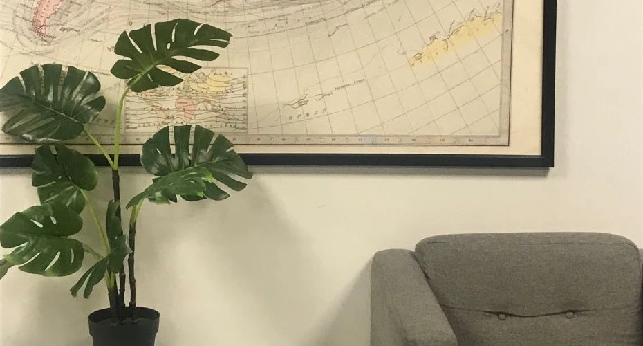 Close up of a modern sofa and house plant