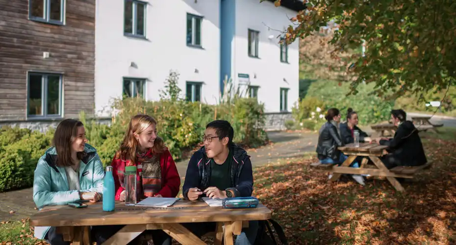 Two groups of students chatting and studying together in a scenic outdoor spot on campus