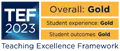 2023 Teaching Excellence Framework Gold - Teaching Excellence, Student Outcomes & Student Experience.